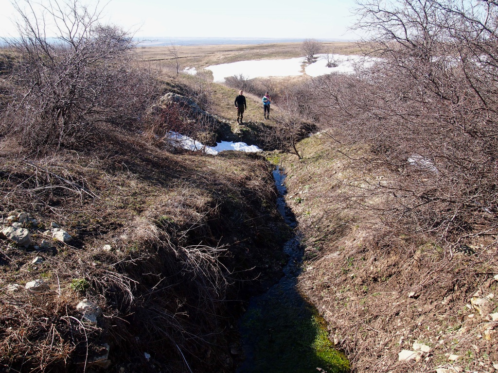 P1014852.jpg