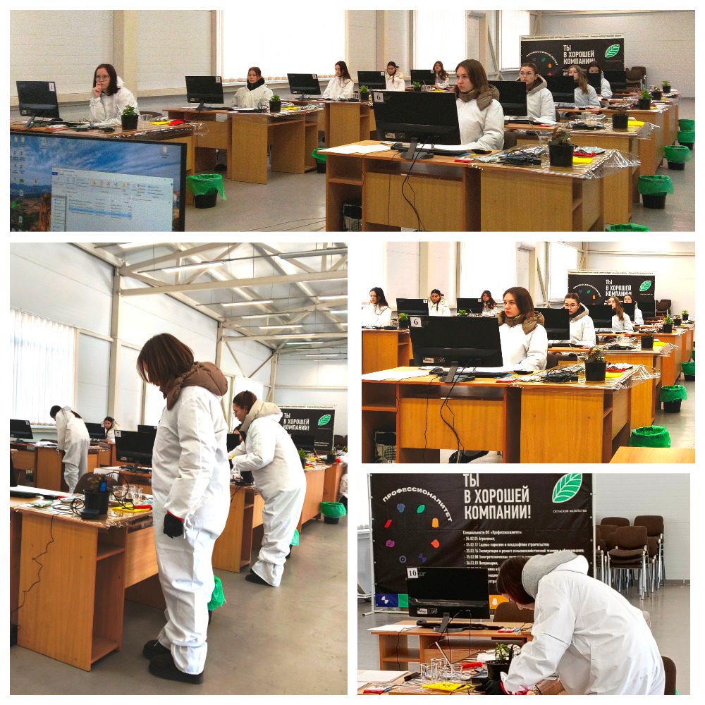 MyCollages (1).jpg