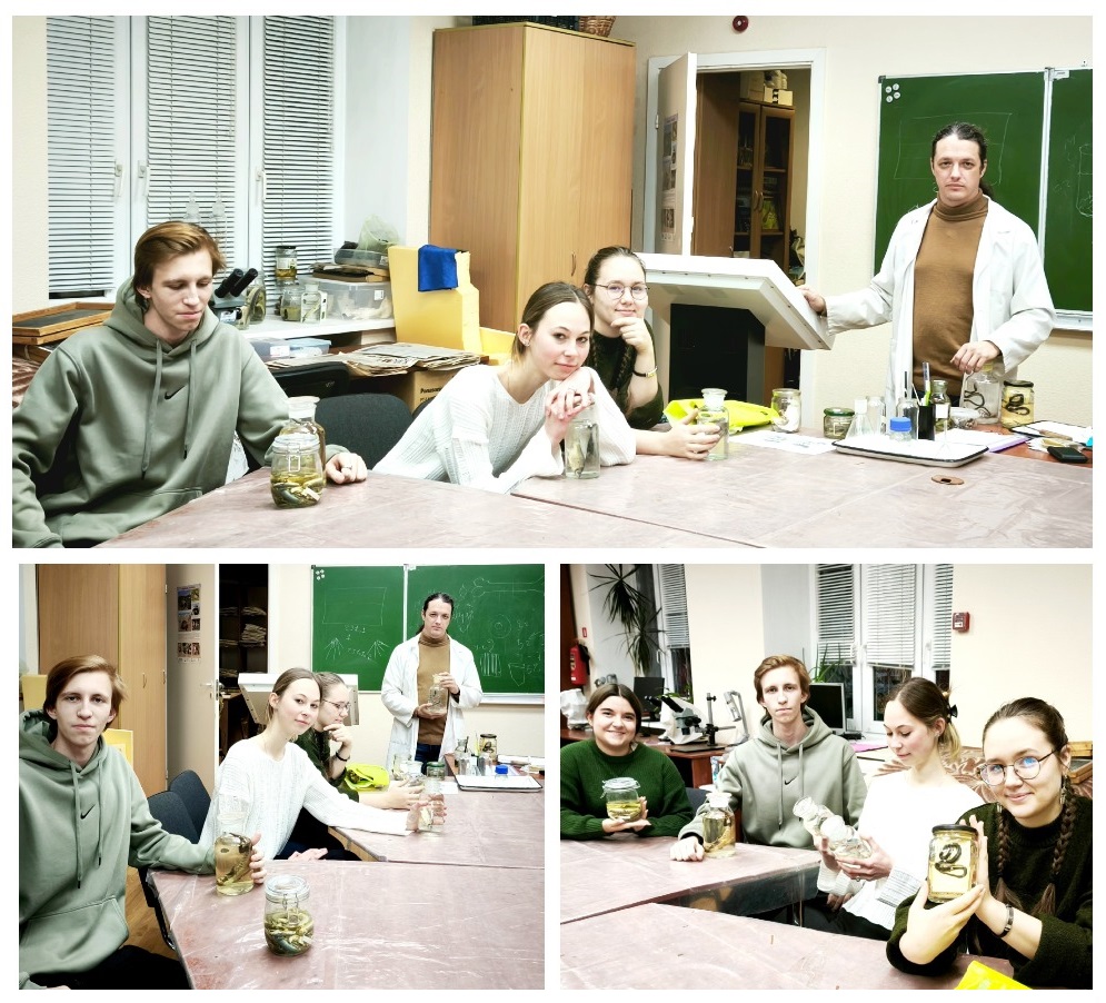 MyCollages.jpg