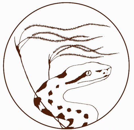 Логотип 2.jpg